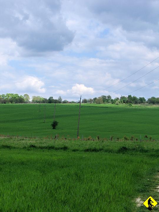 foto 112.jpg - Ponad 60km. Jak będziecie w okolicach, to polecam niebieski szlak wąwozem półrzeczki połączony z czarnym prowadzący z Mnikowa do Baczyna - fajna opcja. PoZdRo